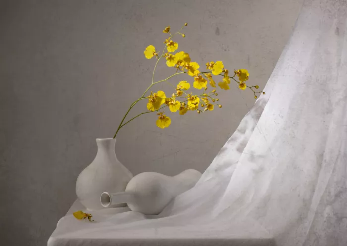 Perfoncio, Margareth: Yellow
