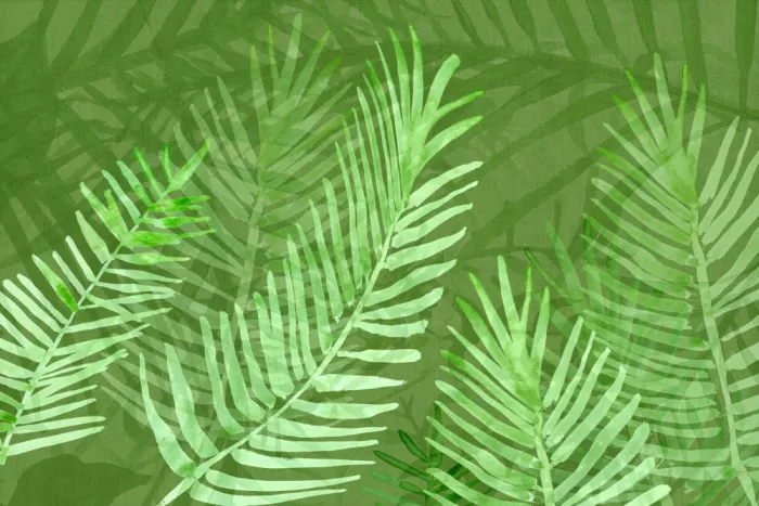 cartissi: Botanicals In Bloom 3
