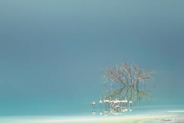 Mao, Yu: Lake Bogoria