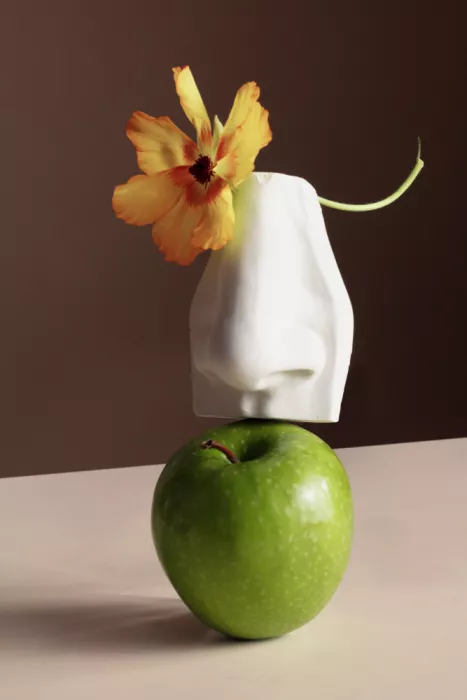 Ramiro, Julia: Sculpture florale