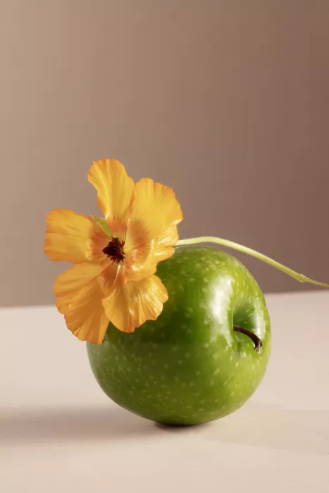 Ramiro, Julia: Pomme avec fleur