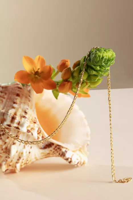 Ramiro, Julia: Fleurs et coquillage