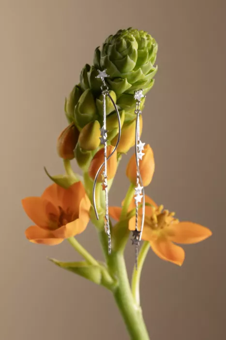 Ramiro, Julia: Fleurs et bijoux