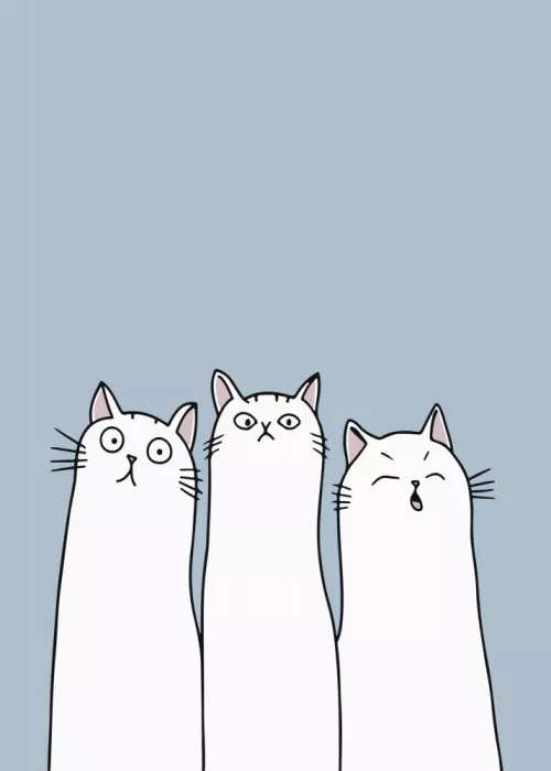 Magnusson, Andreas: Die Katzen