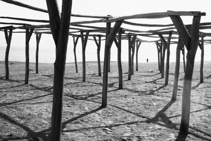 Cinteza, Marius: Constanta, mars 2024