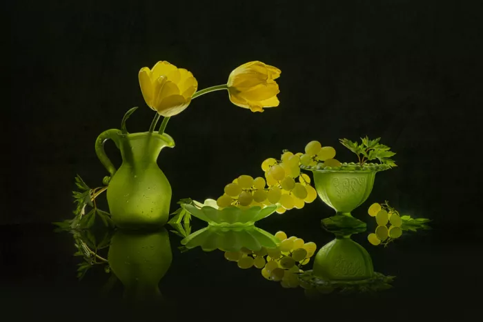 Jacobs, Lydia: Tulipani gialli e uva