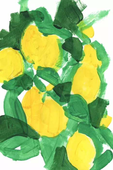 cartissi: Limones 2