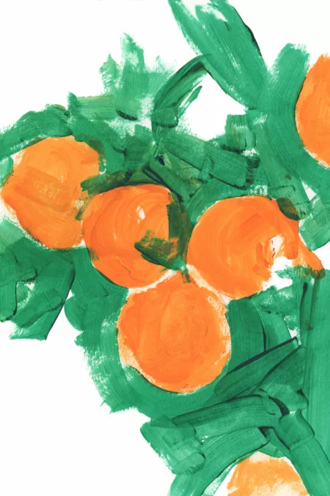 cartissi: Naranjas 1