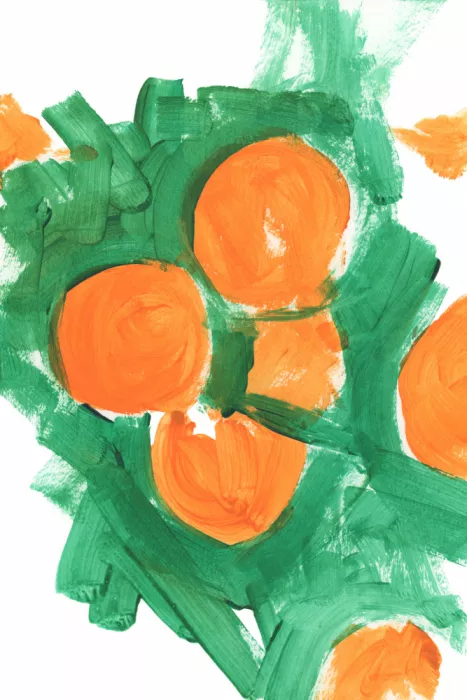 cartissi: Naranjas 2