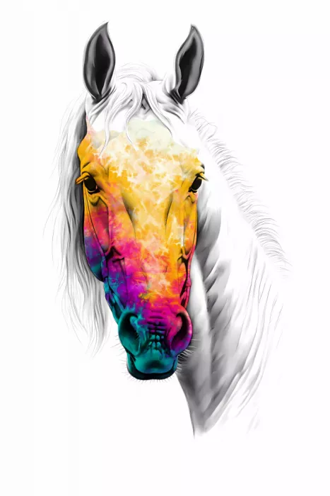 Kulik, Rafal: Cavallo Selvaggio Illustrazione Arte Tribale 06