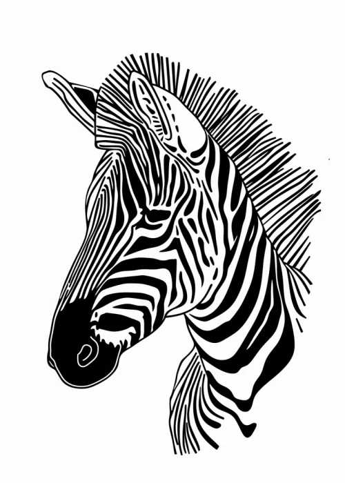 Jaszke, Justyna: Lines art Zebra