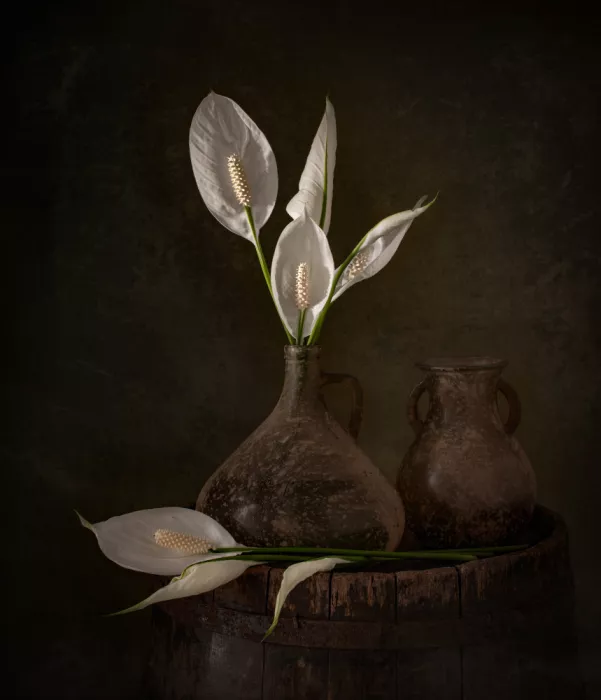 Perfoncio, Margareth: Peace Lily