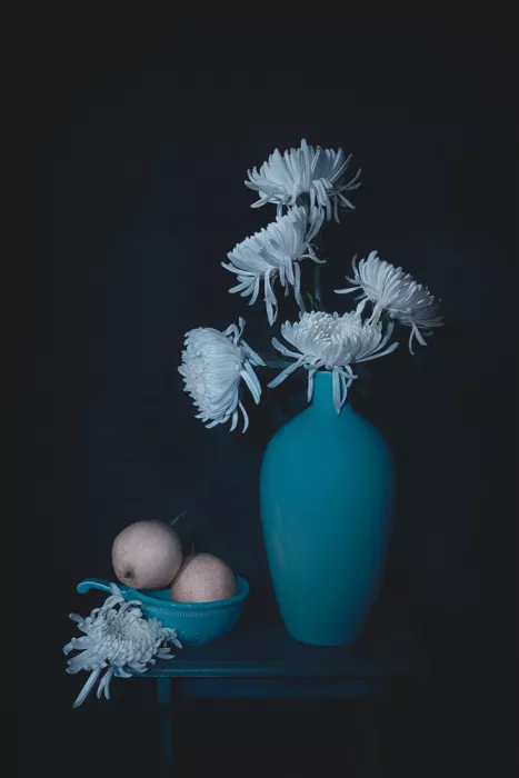 Jacobs, Lydia: Crisantemo bianco