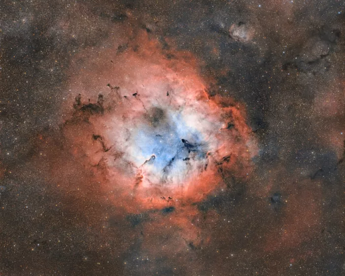 Rodríguez, María Rosa: IC 1396, Nébuleuse de la Trompe d