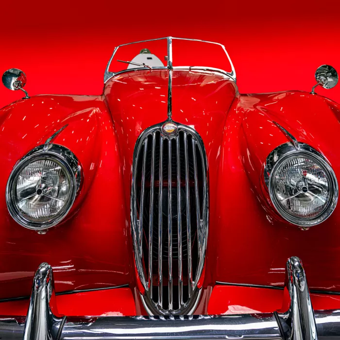 Weber, Roland: La Jaguar rossa