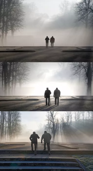 Dupont, Isabelle: Walk in the fog