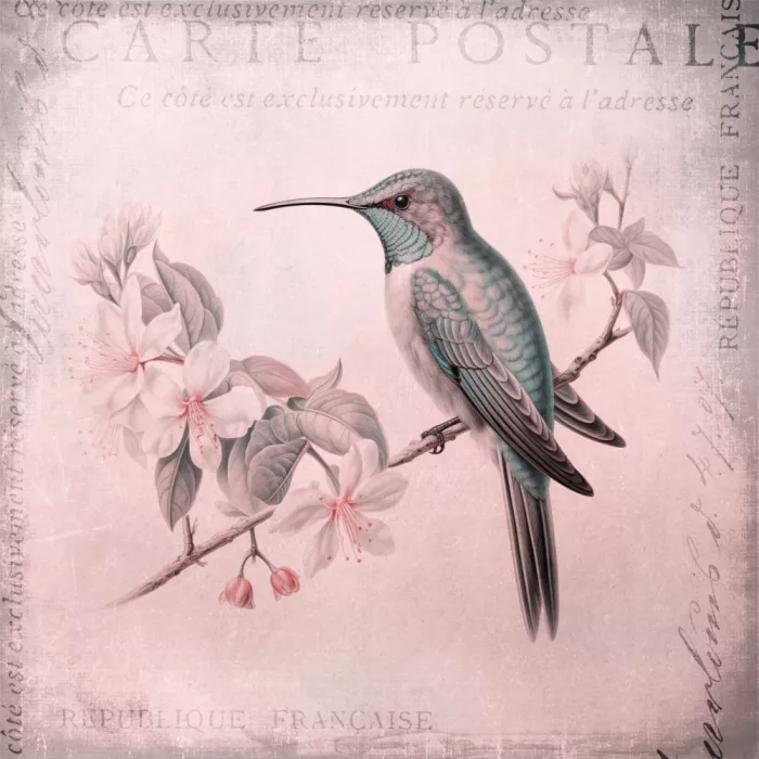 Haase, Andrea: Kolibri-Romanze Pastellrosa