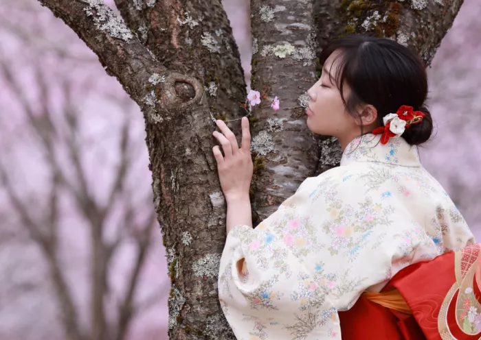 Sakamoto, Tsutomu: Der Frühling ist gekommen