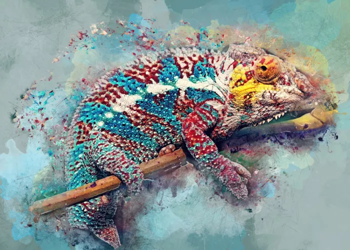 Jaszke, Justyna: Arte animal camaleón
