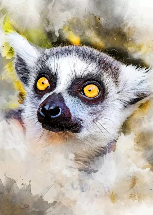 Jaszke, Justyna: Arte animal - Lémur