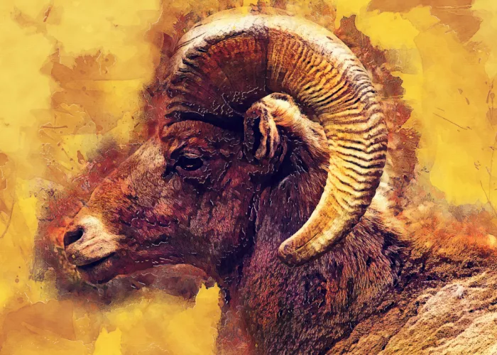 Jaszke, Justyna: Mouflon animal art
