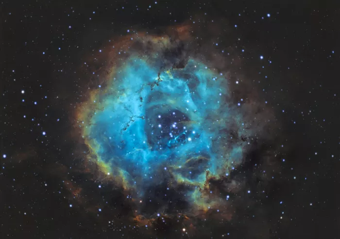 Tamajo, Massimo: Nebulosa Rosetta