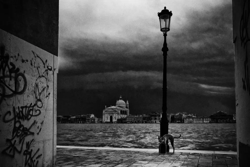 Lupei, Codrin: Nessun nome
