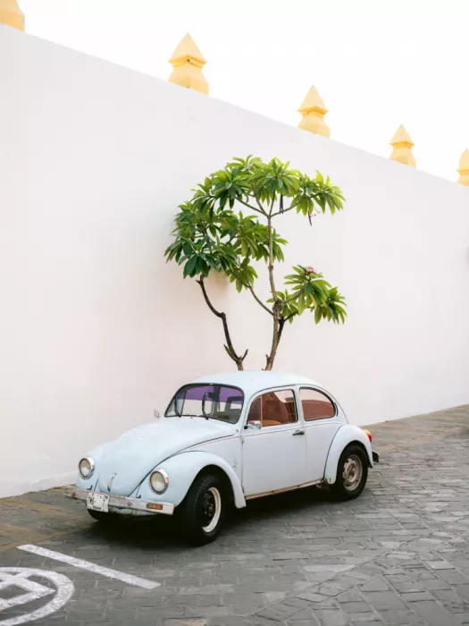 Zwart, Raisa: Pastel Volskwagen Beetle in the streets of Oaxaca Mexico