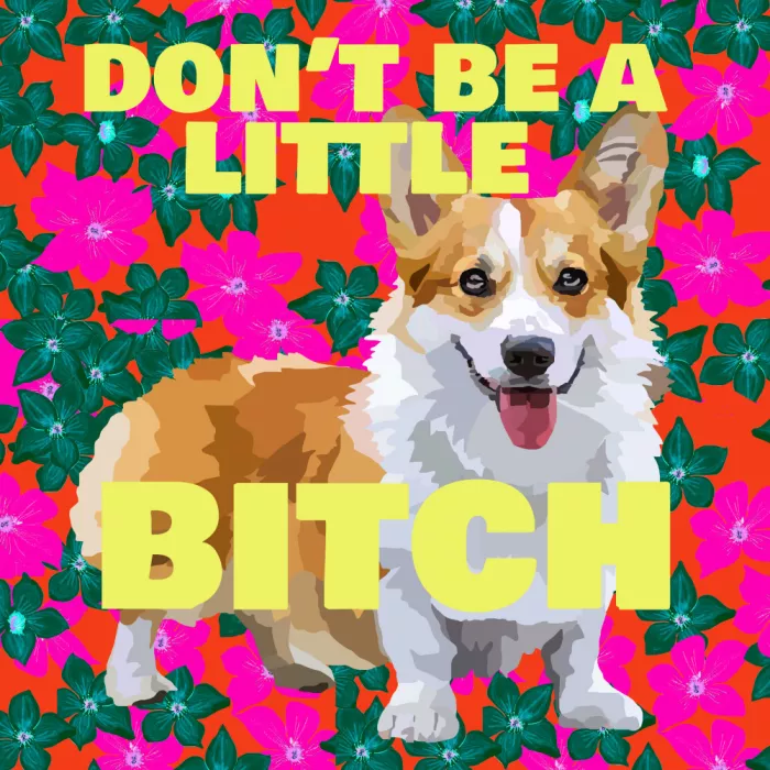 Rakos, Lynnda: Don't be a little bitch