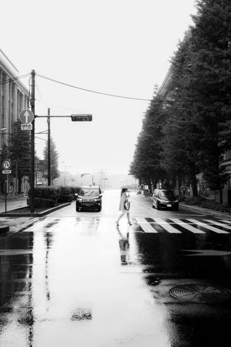 Okubo, Haruma: Rainy Tokyo Snap