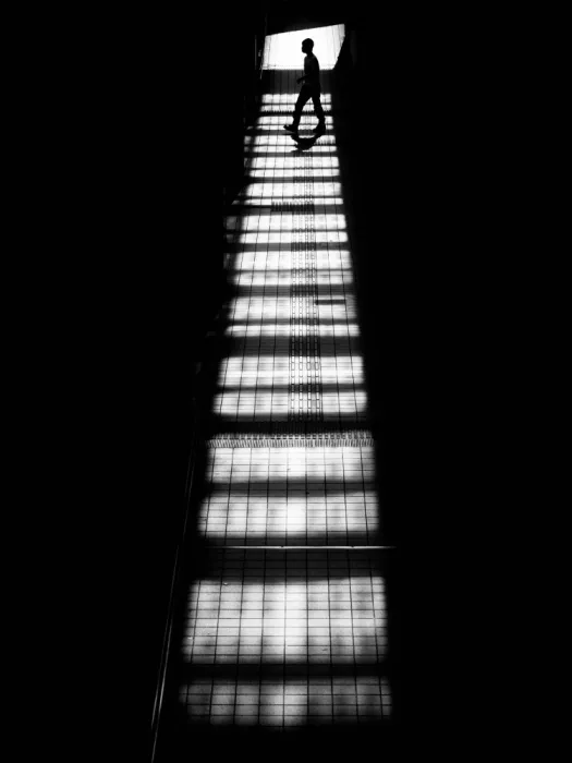 Komai, Kazuhiro: The ladder of light