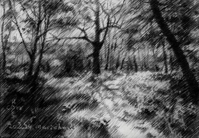 Akkers, Corné: Mariahoeve - 03-05-24