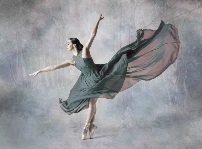 Derwood: En Pointe im Wald