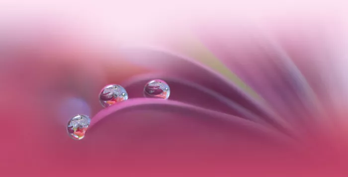 Nan, Juliana: Formas infinitas del amor...III