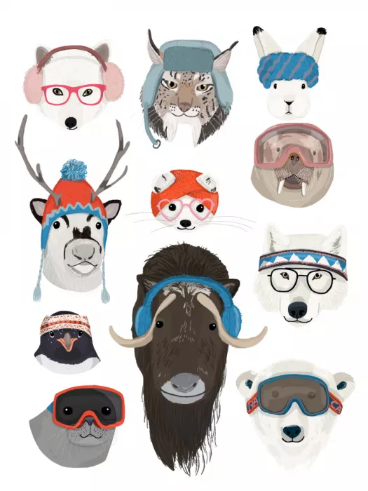 Melin, Hanna: P Cool Animal Hr