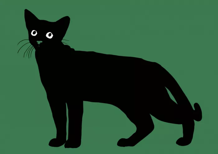 Bursic, Sharyn: Schwarze Katze
