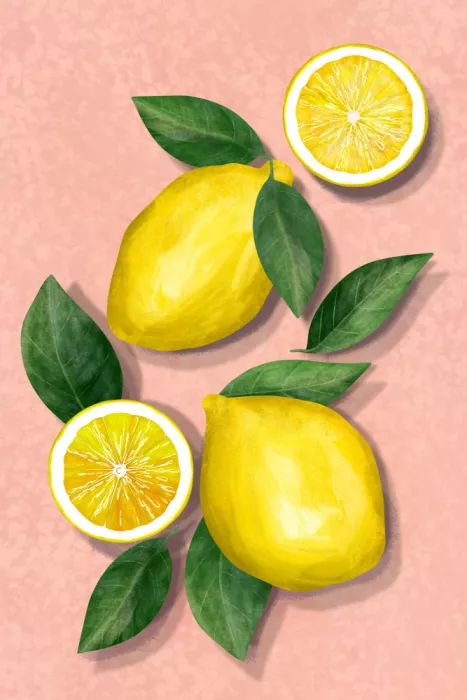 EMELIEmaria: Citrons