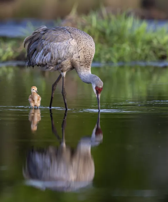 Tao, Liwen: LOVELY MOMENT