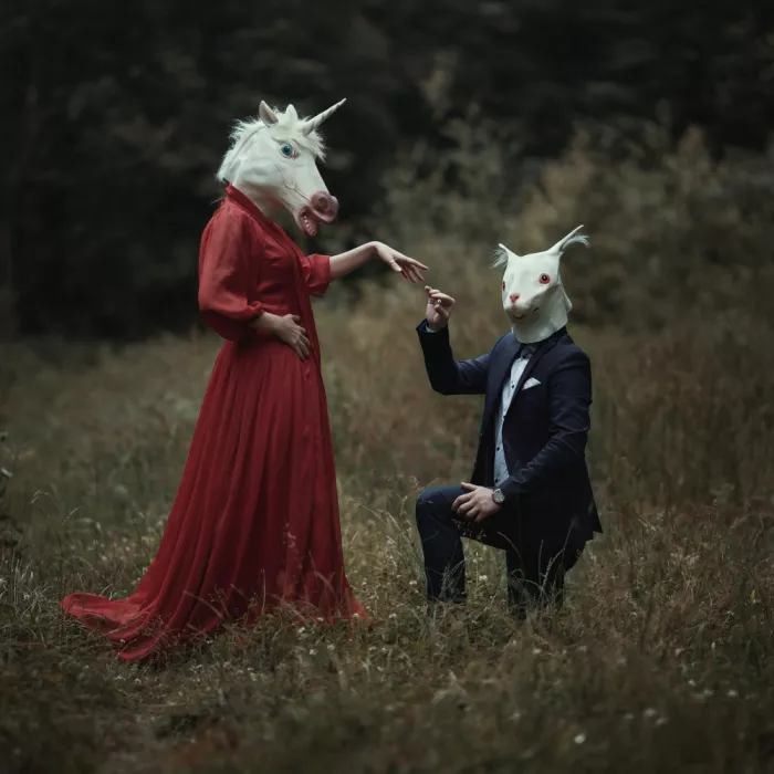 Arhire, Raluca: Der Antrag
