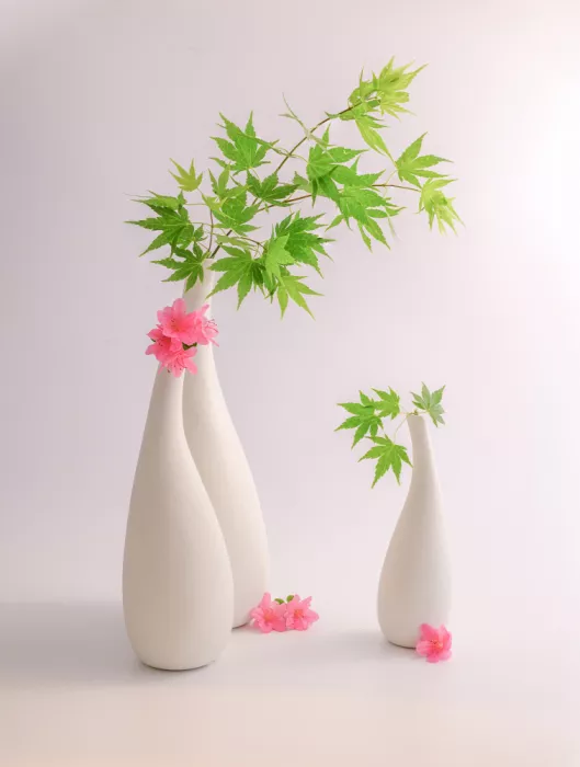 Sheng, Alice: still life 123