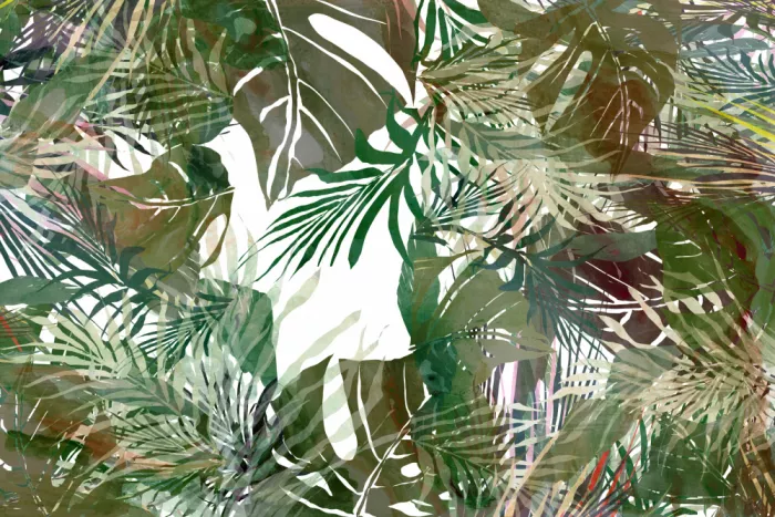 cartissi: La Línea de la jungla 2