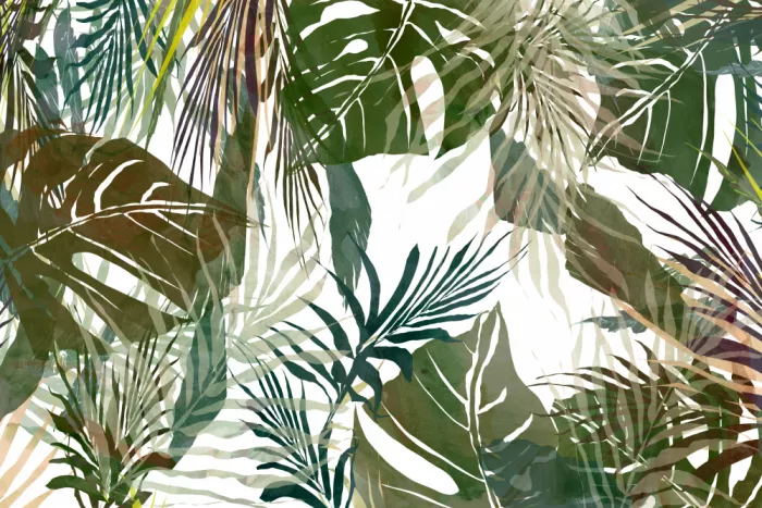 cartissi: La Línea de la Jungla 1