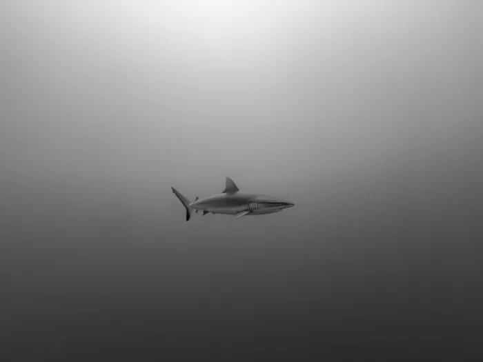 Melesan, Serge: Rangiroa deep
