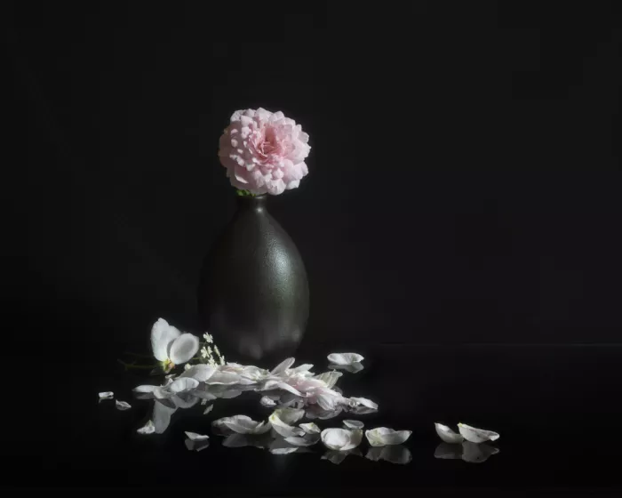 Lu, Linda: Rosas