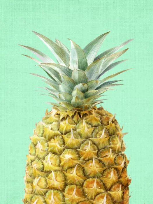 Lola, & Lila: Ananas Pop