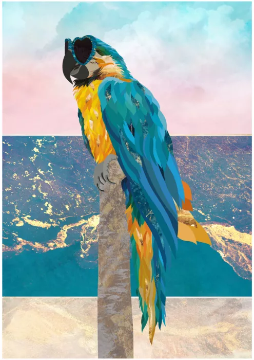 Manovski, Sarah: Macaw On Holiday 01