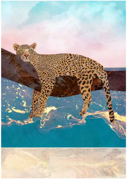 Manovski, Sarah: Leopard Lying On Beach