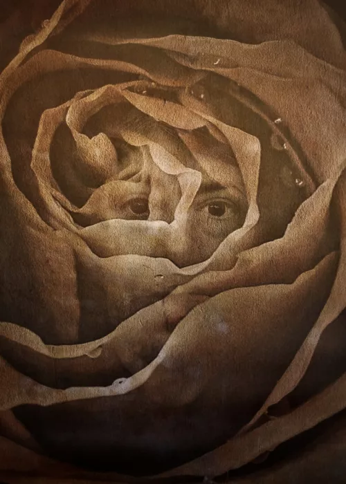 Depaola, Mia: Rosa viejo