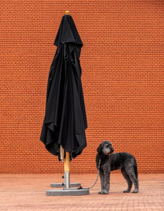Günther, Hans: Esperando