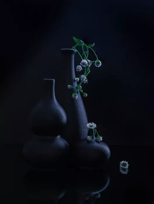 Sheng, Alice: still life 125